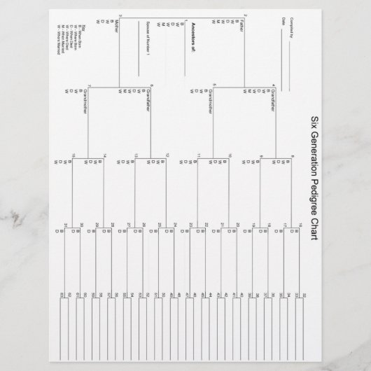 シックスジェネレーションペディグリー紙 (正面)