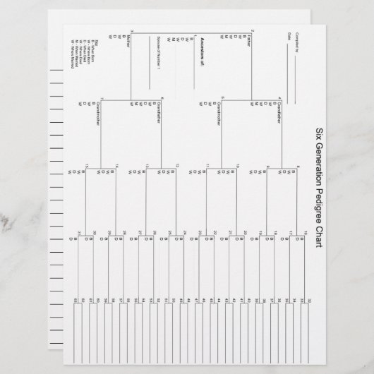 シックスジェネレーションペディグリー紙 (正面/裏面)