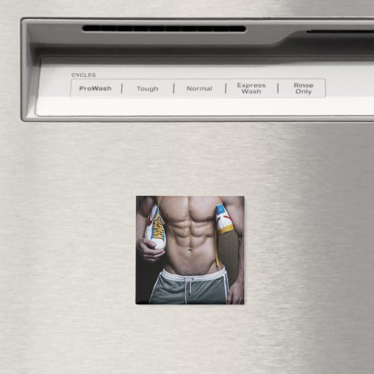 シックスパック マグネット (インサイチュ (食洗機))