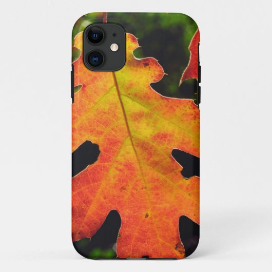 シックスリバーズ国立森林のオークの葉 Case-Mate iPhoneケース (裏面)