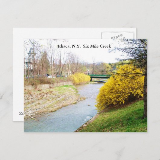 シックス・マイル・クリーク、イタカ、ニューヨークのポストカード ポストカード (正面/裏面)