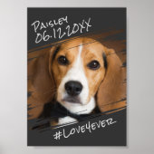 シックモダンエレガントシンプルブラックペットドッグキープサケ ポスター (正面)