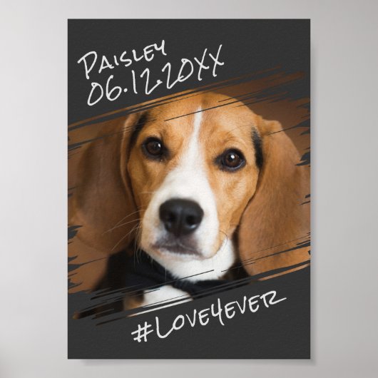 シックモダンエレガントシンプルブラックペットドッグキープサケ ポスター (正面)