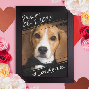 シックモダンエレガントシンプルブラックペットドッグキープサケ ポスター