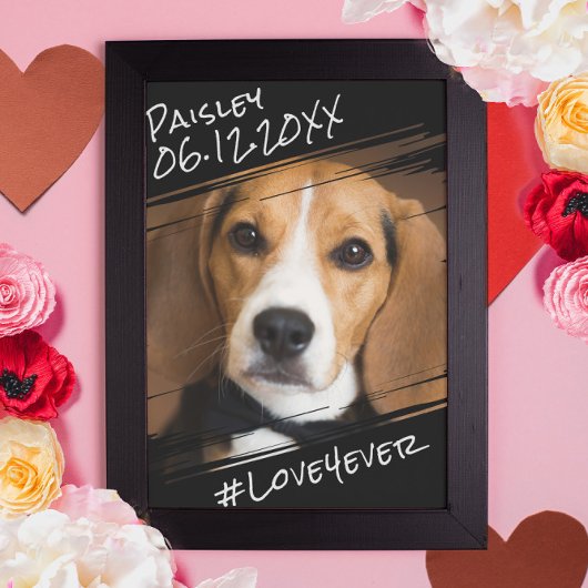 シックモダンエレガントシンプルブラックペットドッグキープサケ ポスター