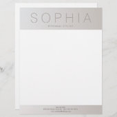 シックモダンプロフェッショナル発光銀 レターヘッド (正面/裏面)