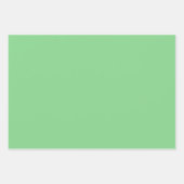 シックモダンライトグリーシンプルンド無地のシェード ラッピングペーパーシート (正面)