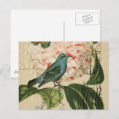 シックヴィンテージバードカフランスのメリア植物芸術 ポストカード (正面/裏面)