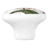 シックヴィンテージ(昆虫)オオカバマダラ、モナークバタフライフラワーノフランスのブ セラミックノブ (側面)