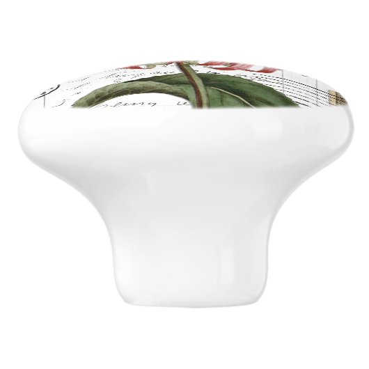 シックヴィンテージ(昆虫)オオカバマダラ、モナークバタフライフラワーノフランスのブ セラミックノブ (側面)