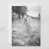 シック赤面ピンクボタニカルフォト結婚式招待状 招待状 (裏面)