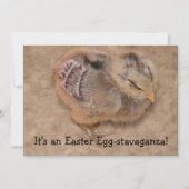 シック – ふわふわベビーチキンイースター 招待状 (正面)