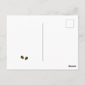 シック・カクテルアート | エスプレッソマルティーニレシピ ポストカード (裏面)