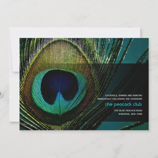 シック·ピエレガントーコック·フェザー写真結婚ズ 招待状 (裏面)