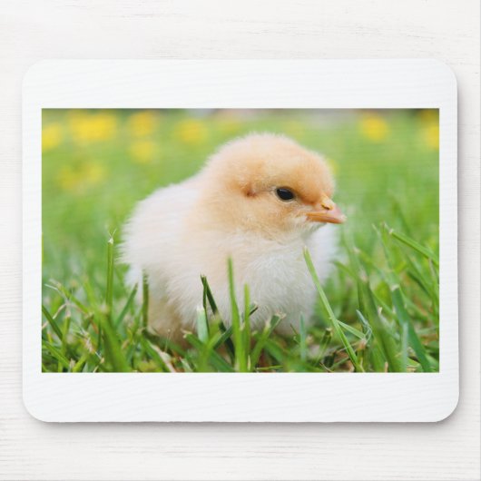 シック マウスパッド (正面)