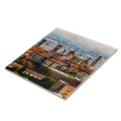 シッタアルタインベルガモ(イタリア) タイル (側面)