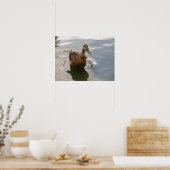 シッティングダックプリント ポスター (キッチン)