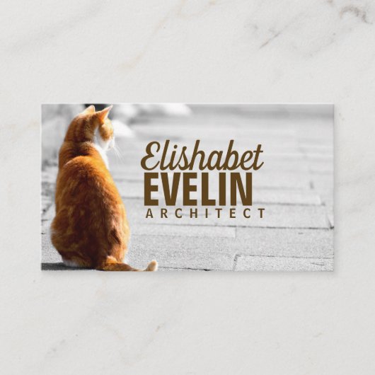 シッティング・キャット・オン・ザ・通り 名刺 (正面)