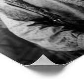 シットブルポートレート – サーカ1883 ポスター (角)