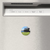 シッド・ブリッジ・グラス マグネット (インサイチュ (食洗機))