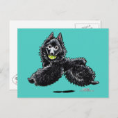 シッパークレ遊ッツ ポストカード (正面/裏面)