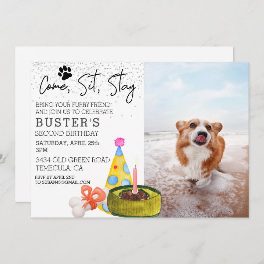 シッ来トステイ犬誕生日写真パーティー 招待状 (正面/裏面)