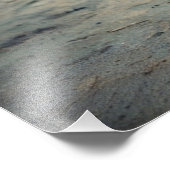 シティタイガー フォトプリント            (角)