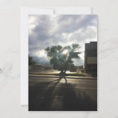 シティツリー 案内状 (正面)