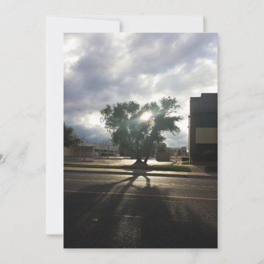 シティツリー 案内状 (正面)