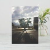 シティツリー 案内状 (スタンド正面)