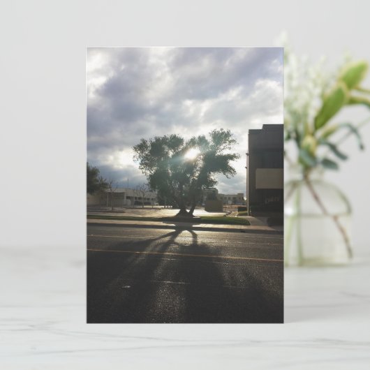 シティツリー 案内状 (スタンド正面)