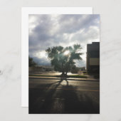 シティツリー 案内状 (正面/裏面)