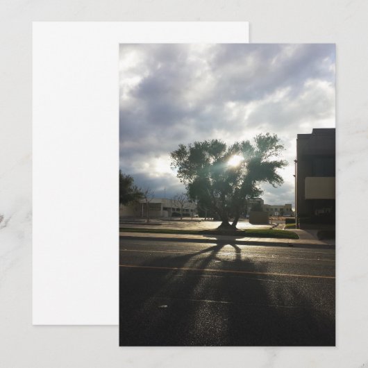 シティツリー 案内状 (正面/裏面)