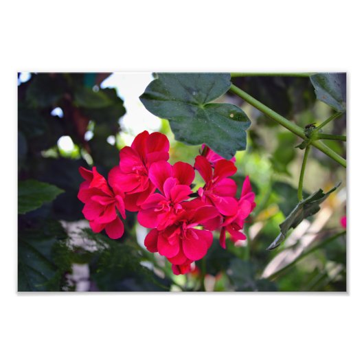 シティテラス フォトプリント            (正面)