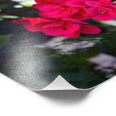 シティテラス フォトプリント            (角)