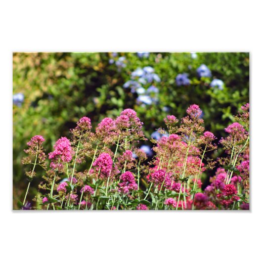 シティテラス フォトプリント            (正面)