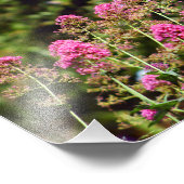 シティテラス フォトプリント            (角)