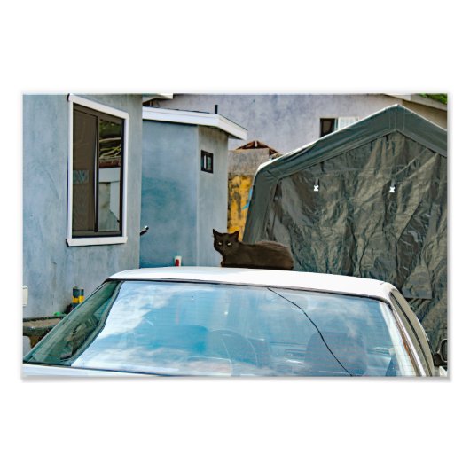 シティテラス フォトプリント            (正面)