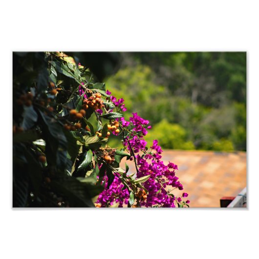 シティテラス フォトプリント            (正面)