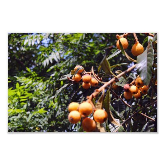 シティテラス フォトプリント            (正面)