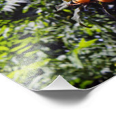 シティテラス フォトプリント            (角)