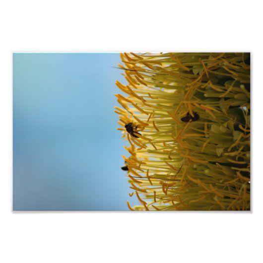 シティテラス フォトプリント            (正面)