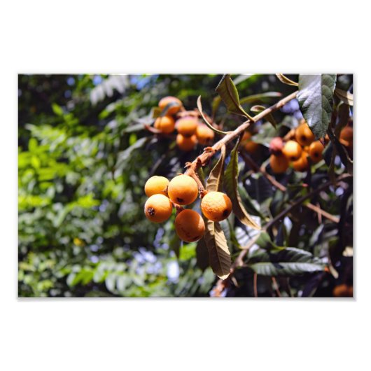 シティテラス フォトプリント            (正面)