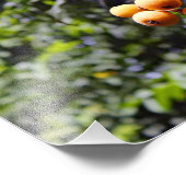 シティテラス フォトプリント            (角)