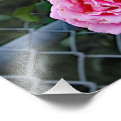 シティテラス フォトプリント            (角)