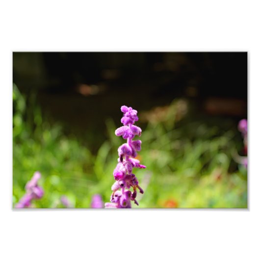 シティテラス フォトプリント            (正面)