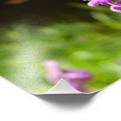 シティテラス フォトプリント            (角)