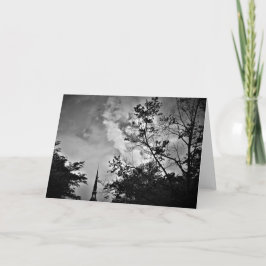 シティノワール、カード カード