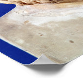 シティノ・ゼノの胸像 ポスター (角)