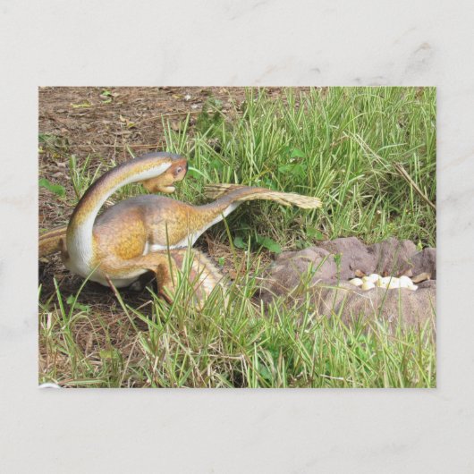 シティパティ – 恐竜学のカード ポストカード (正面)